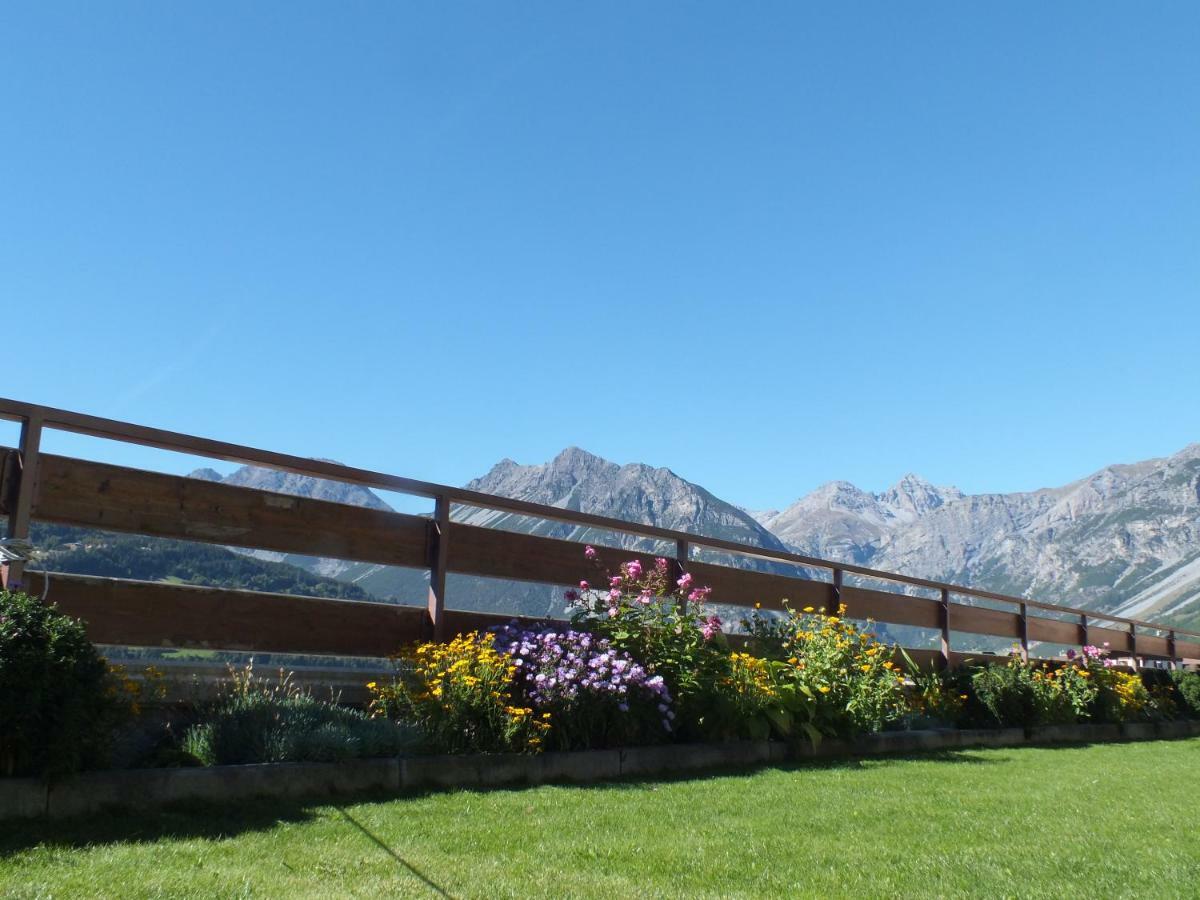 Best House Snc Di Elisa Baroni E Beatrice Dei Cas Bormio Ngoại thất bức ảnh